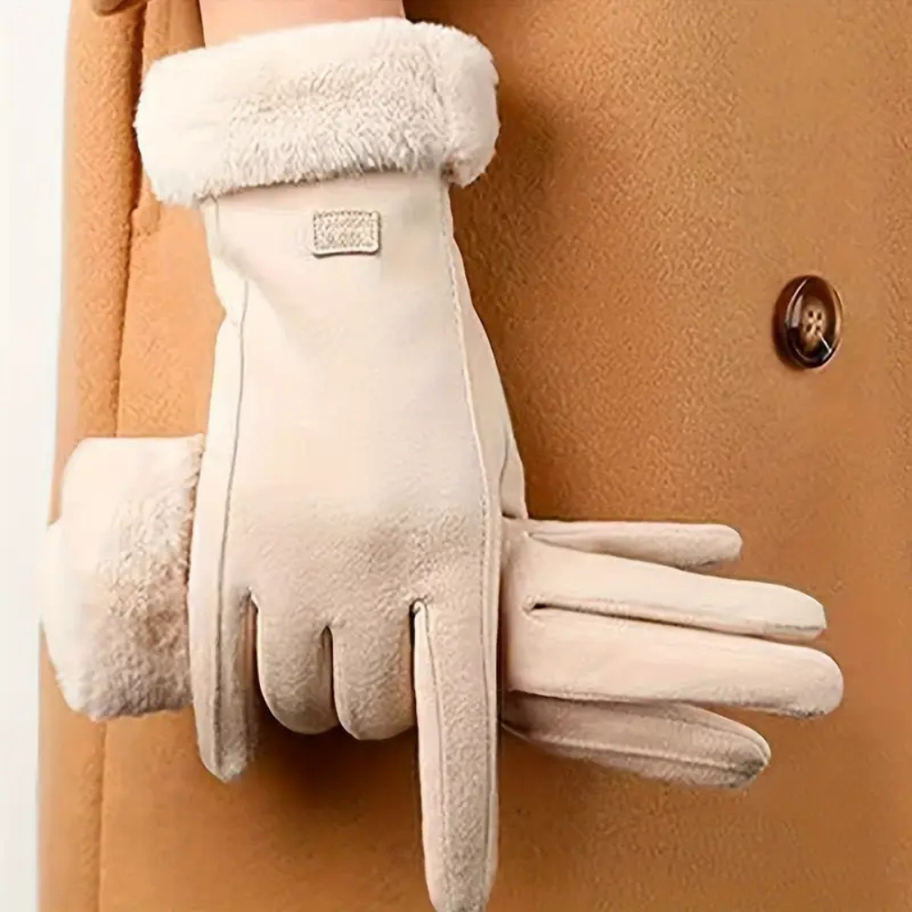 WW | Windproof Winter Gloves