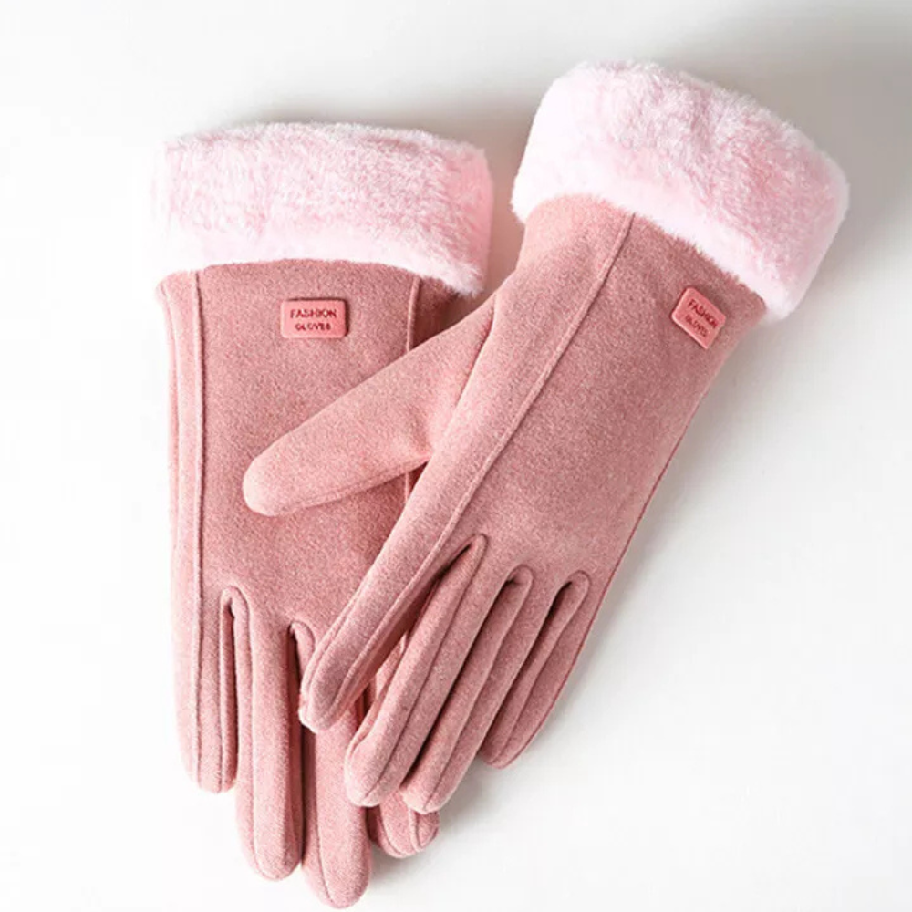 WW | Windproof Winter Gloves
