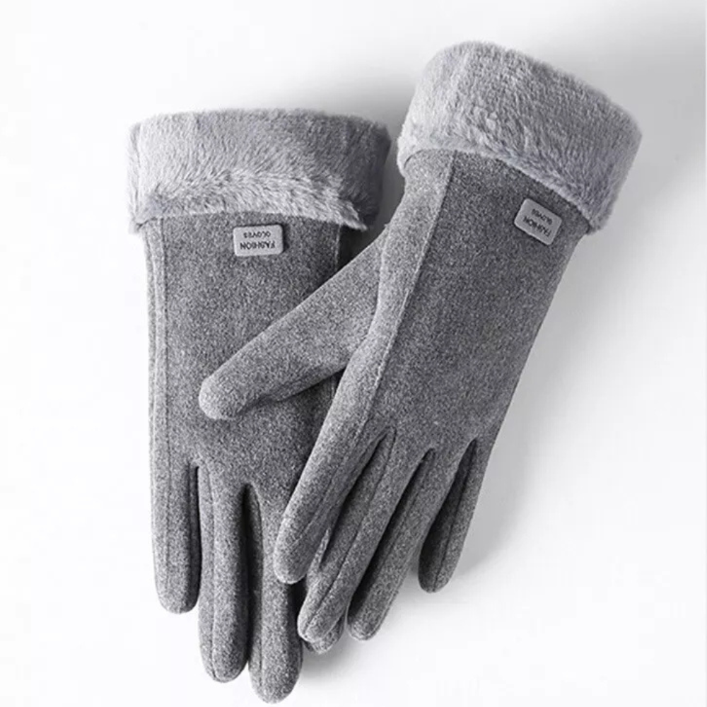 WW | Windproof Winter Gloves