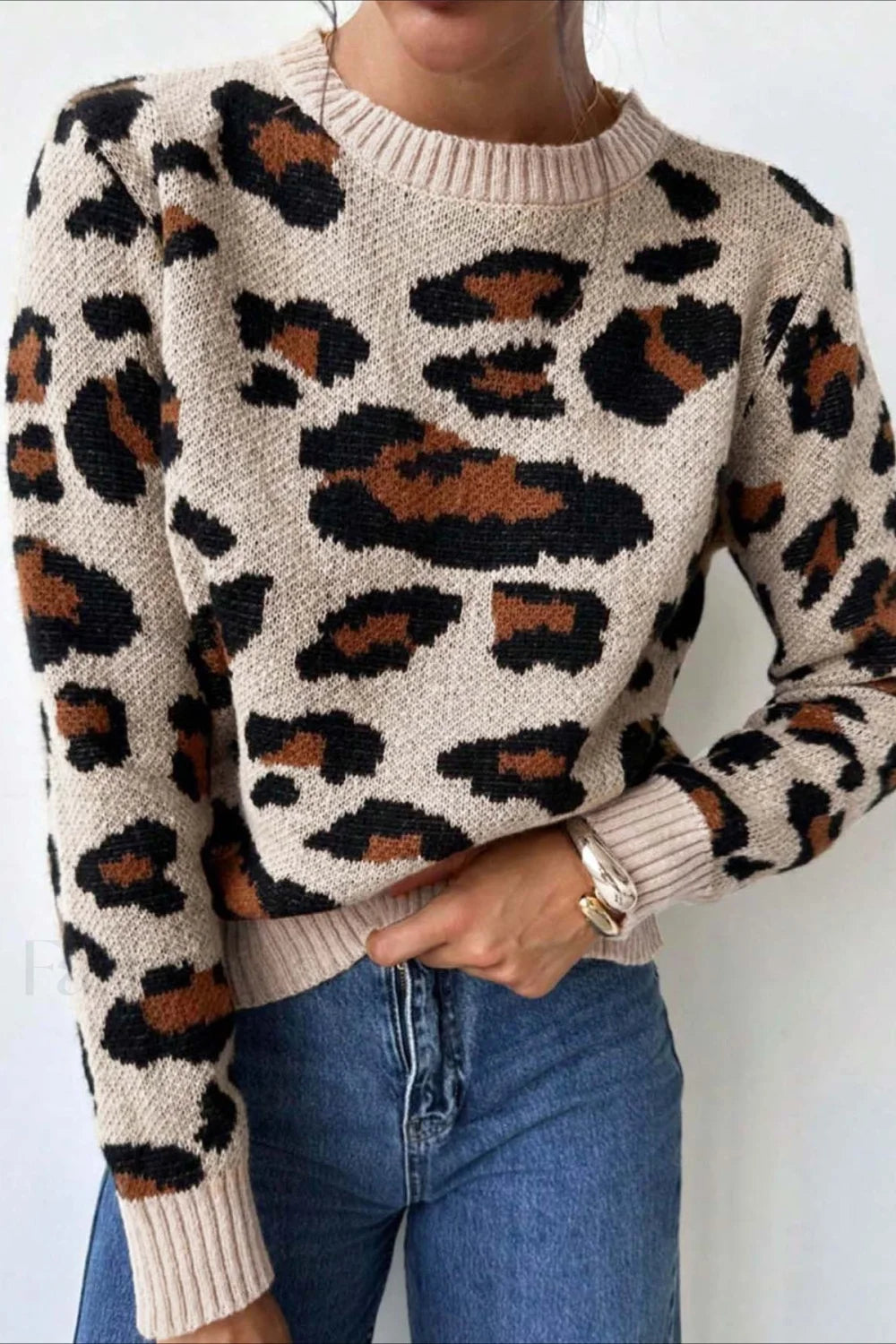 WW | Stylish sweater with color blocking, leopard print, and round neckline