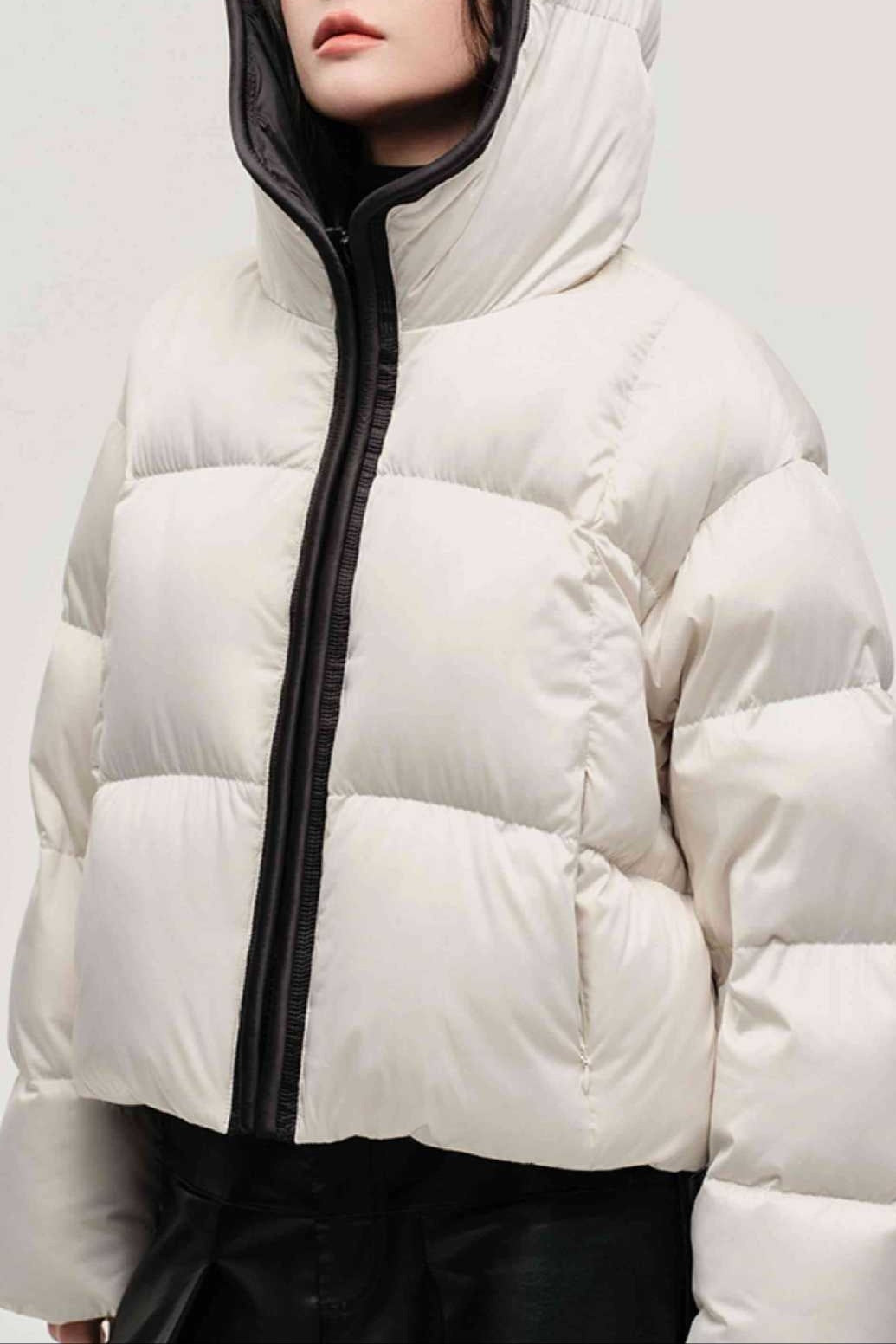 WW | Hooded Insulated Puffer Jacket