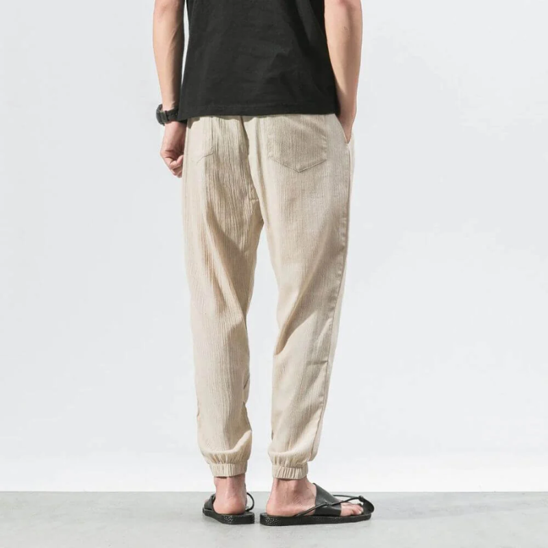 WW | Herren Sommer Hose In Beige