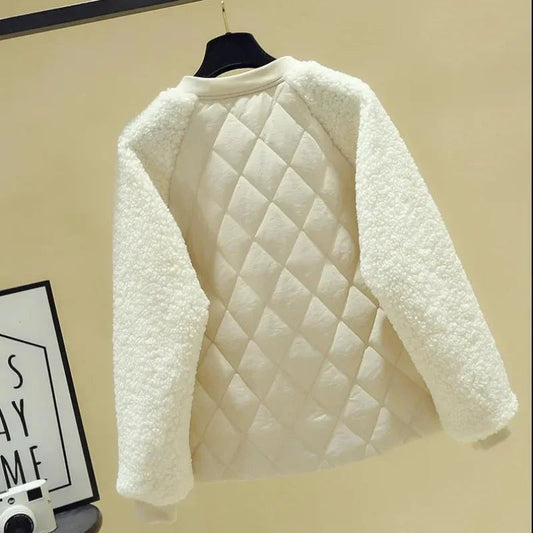 WW | Teddy Bomber
