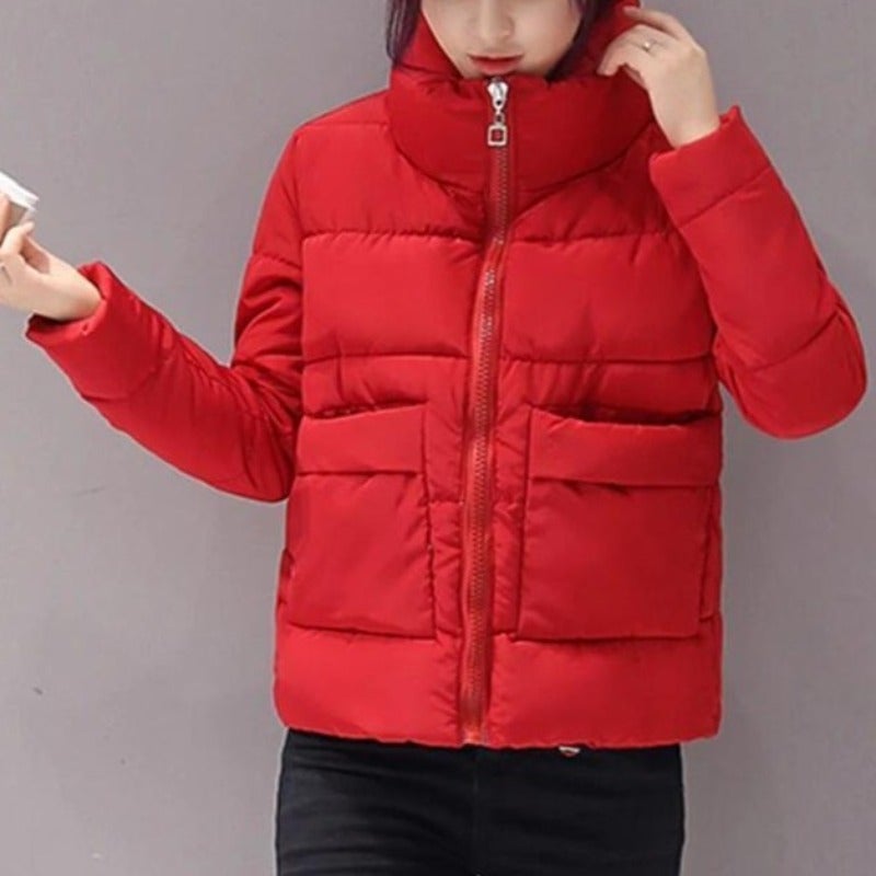 WW | Lined Women's Winter Jacket with Stand-Up Collar