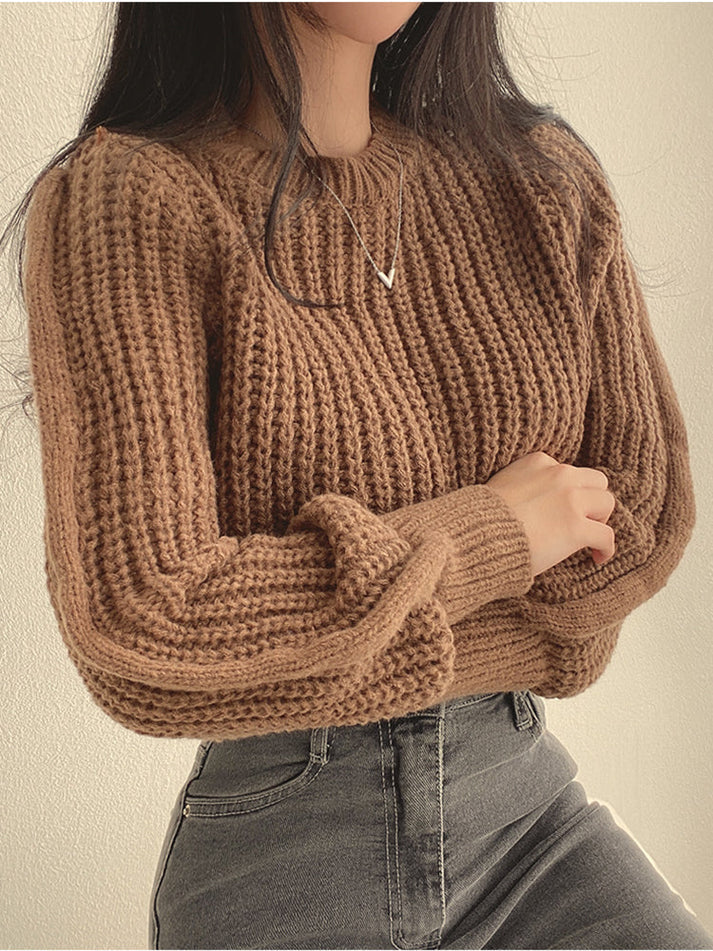 WW | Chic Autumn Chunky Knit Sweaters for Women