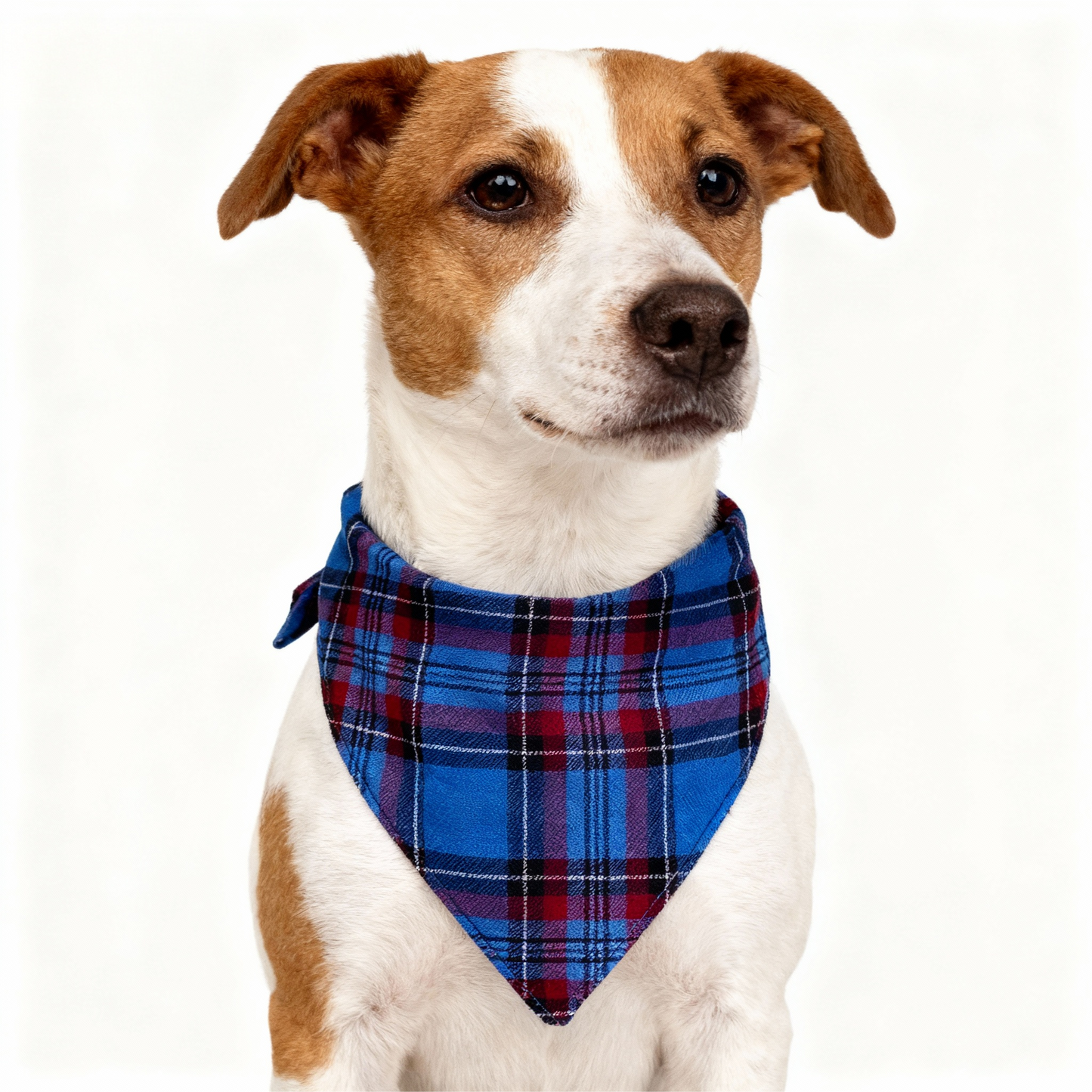 WW | Couple's Blue Plaid Christmas Pajama Set
