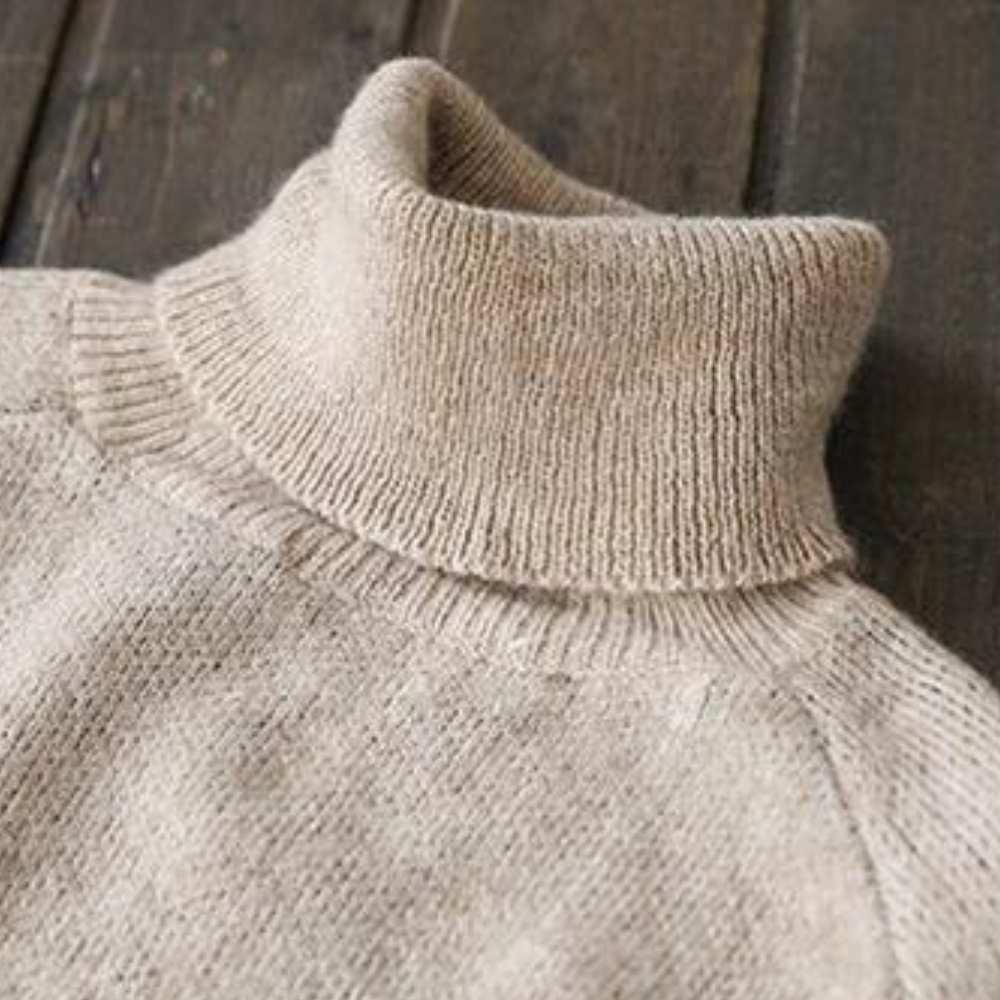 WW | Modischer Rollkragenpulli für Frauen