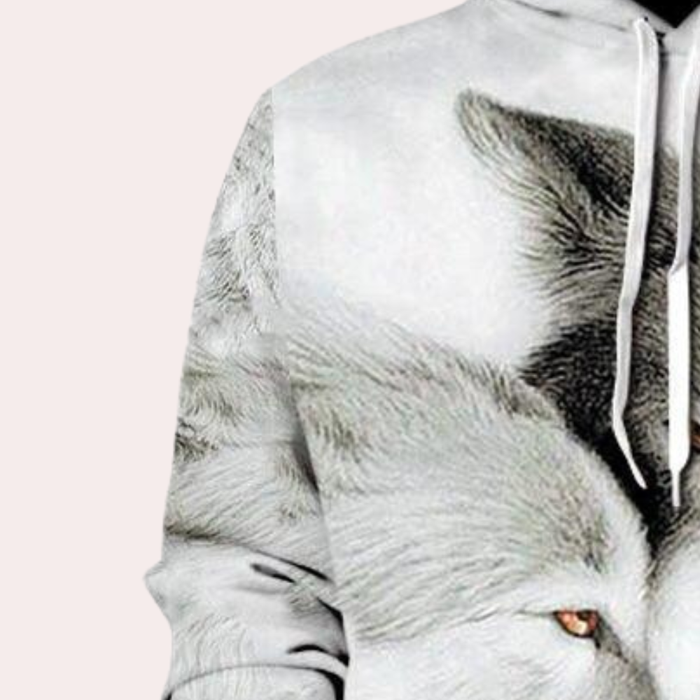 WW | Trendy Hooded Sweatshirt For Men For Everyday Wear