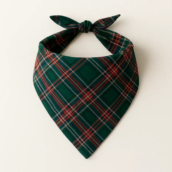 WW | Holiday Family Plaid Matching Pajama Set